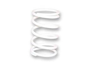 Maksi Motor